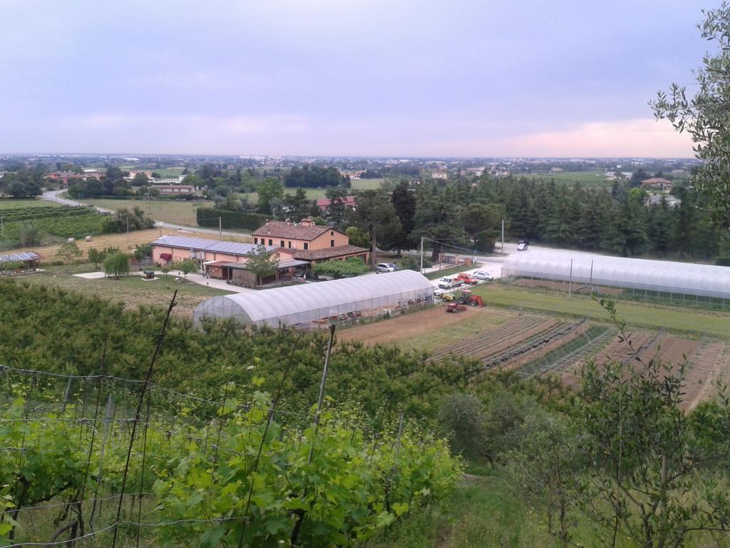 Bed and Breakfast Agriturismo Perugini Чезена Экстерьер фото